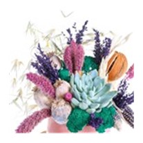 Mini Dried Flower