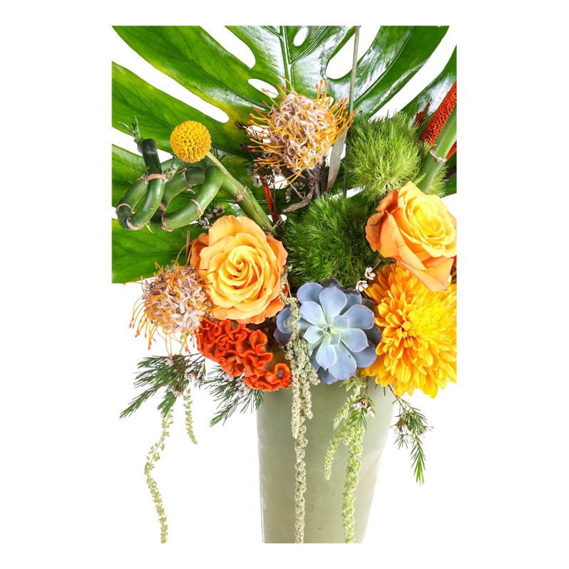 Forest Flowers