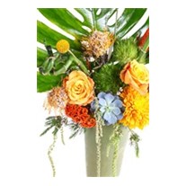 Forest Flowers