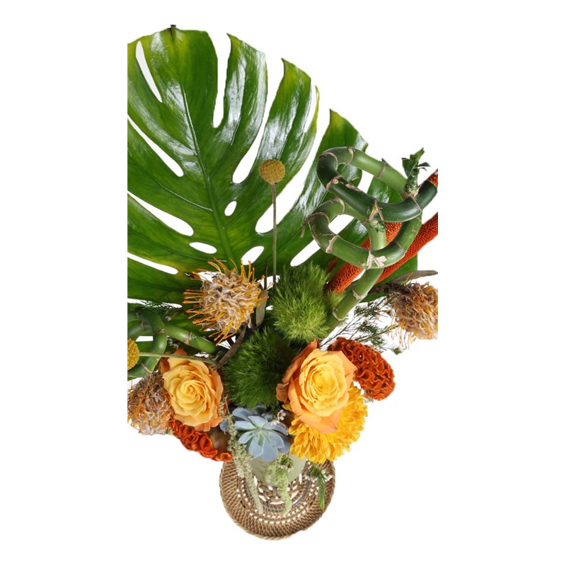 Forest Flowers