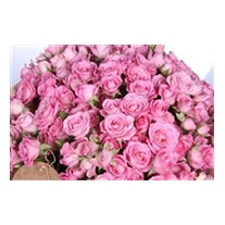 Stylish Pink Gül Buketi