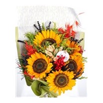 Five Sunflowers Ayçiçeği Buketi