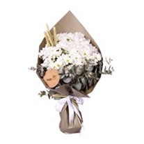 Daisies Çiçek Buketi