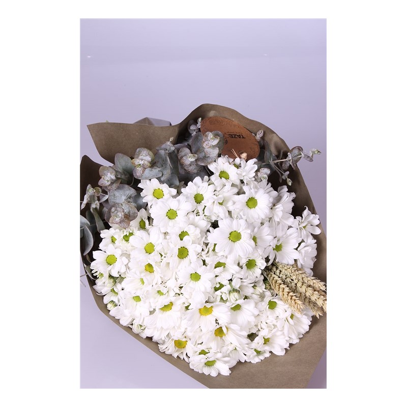 Daisies Çiçek Buketi