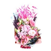Good Wishes