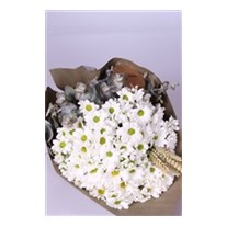 Daisies Çiçek Buketi