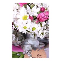 Gaia Daisies Çiçek Buketi
