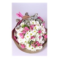 Gaia Daisies Çiçek Buketi