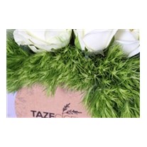 Huzur Ezgisi Beyaz Güller