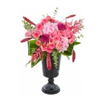 Pink Hydrangea Glow