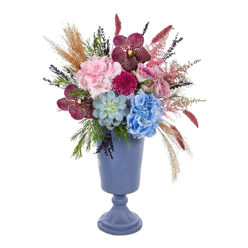 Pink and Blue Hydrangea Glow Ortanca