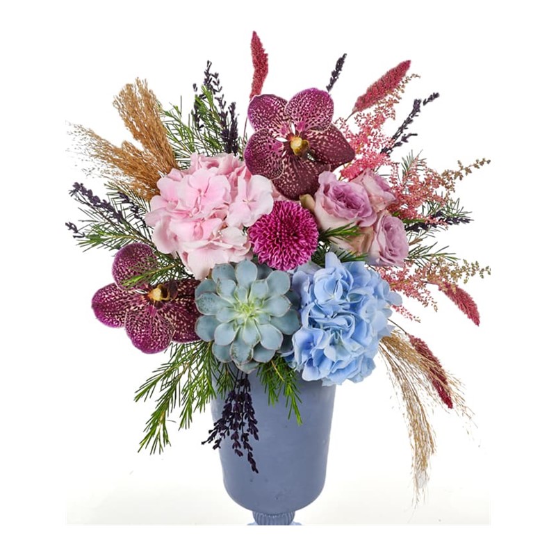 Pink and Blue Hydrangea Glow Ortanca