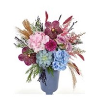 Pink and Blue Hydrangea Glow Ortanca