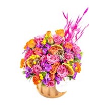 Colorful Fun