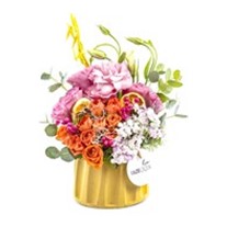 Vivid Colors