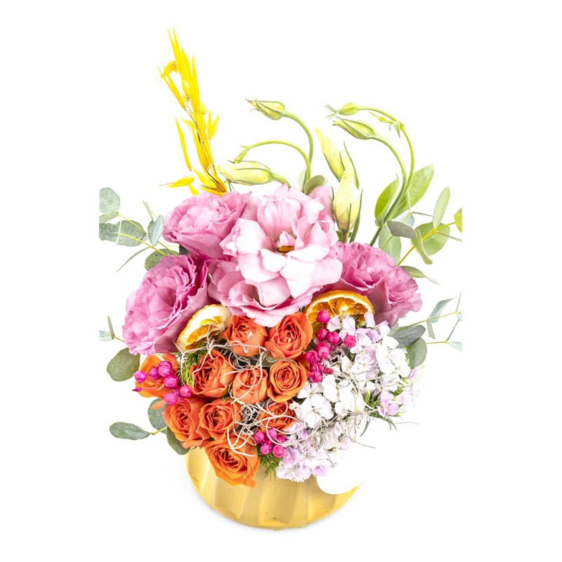 Vivid Colors