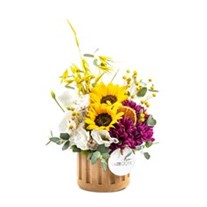 Elegant Sunflower