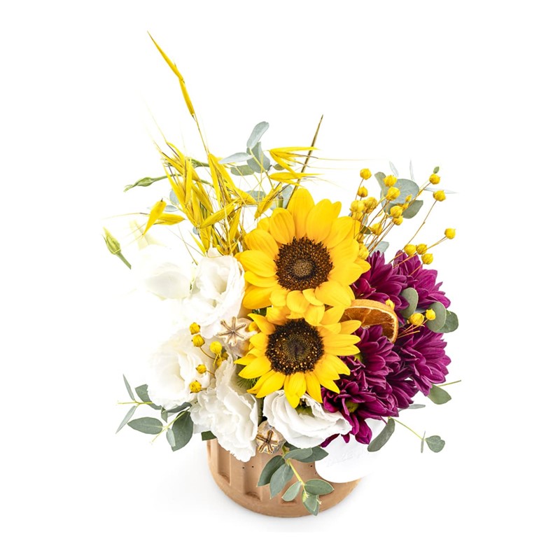 Elegant Sunflower