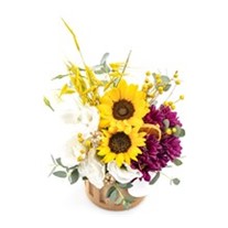 Elegant Sunflower
