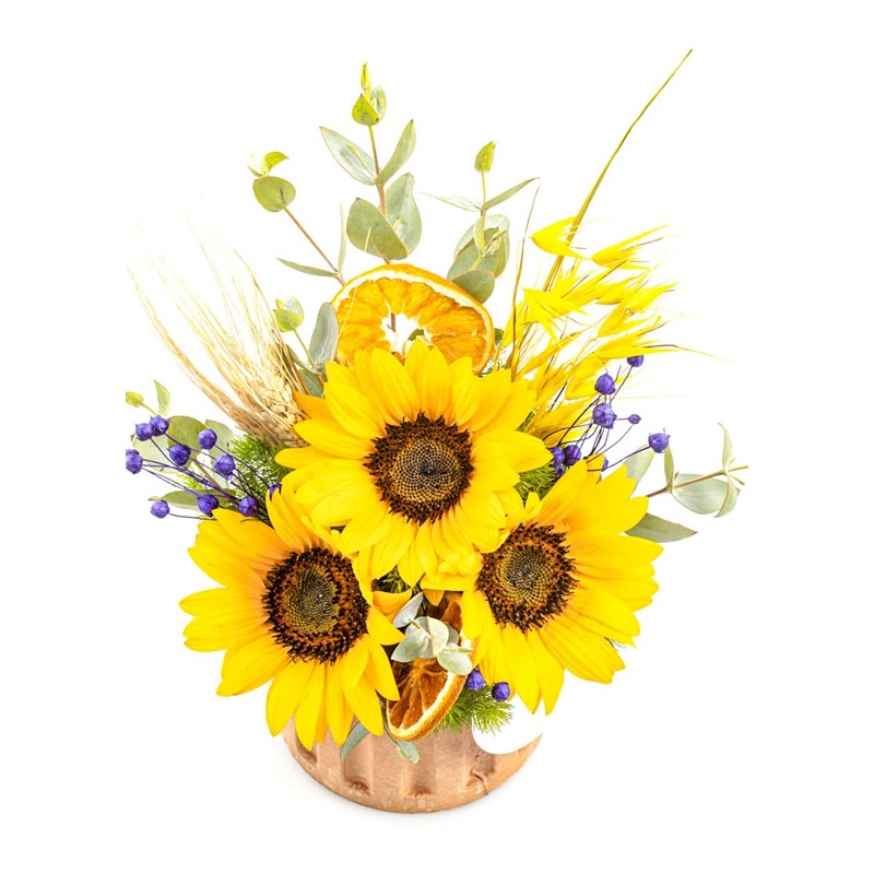 Sunflower Light Ayçiçeği