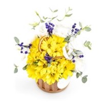 Enchanted Yellow Papatya
