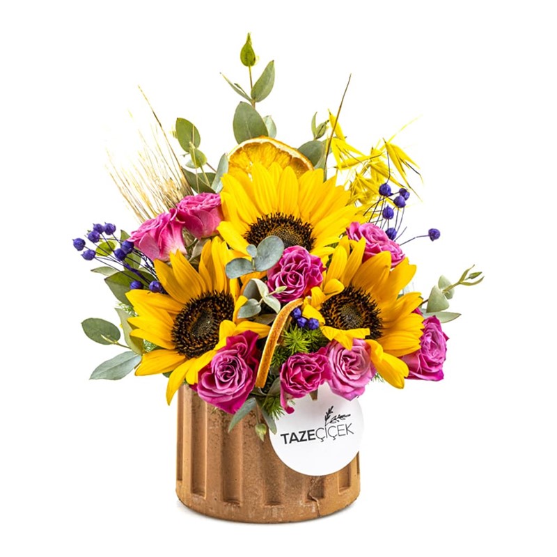 Live Flowers