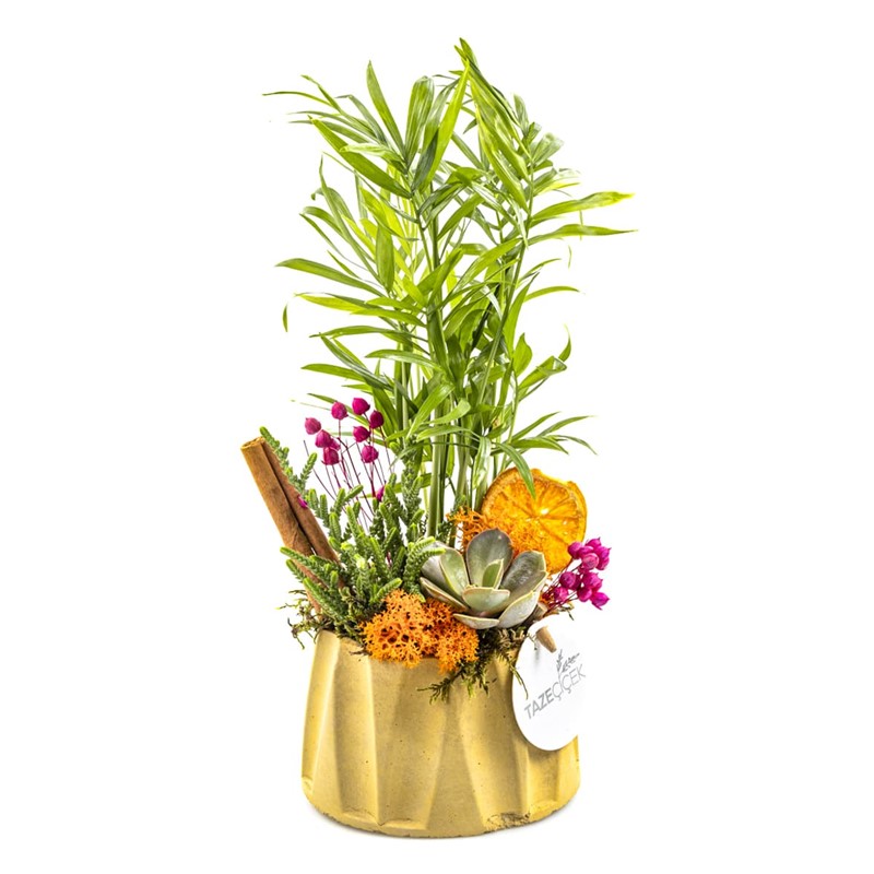 Small Botanical