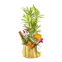 Small Botanical