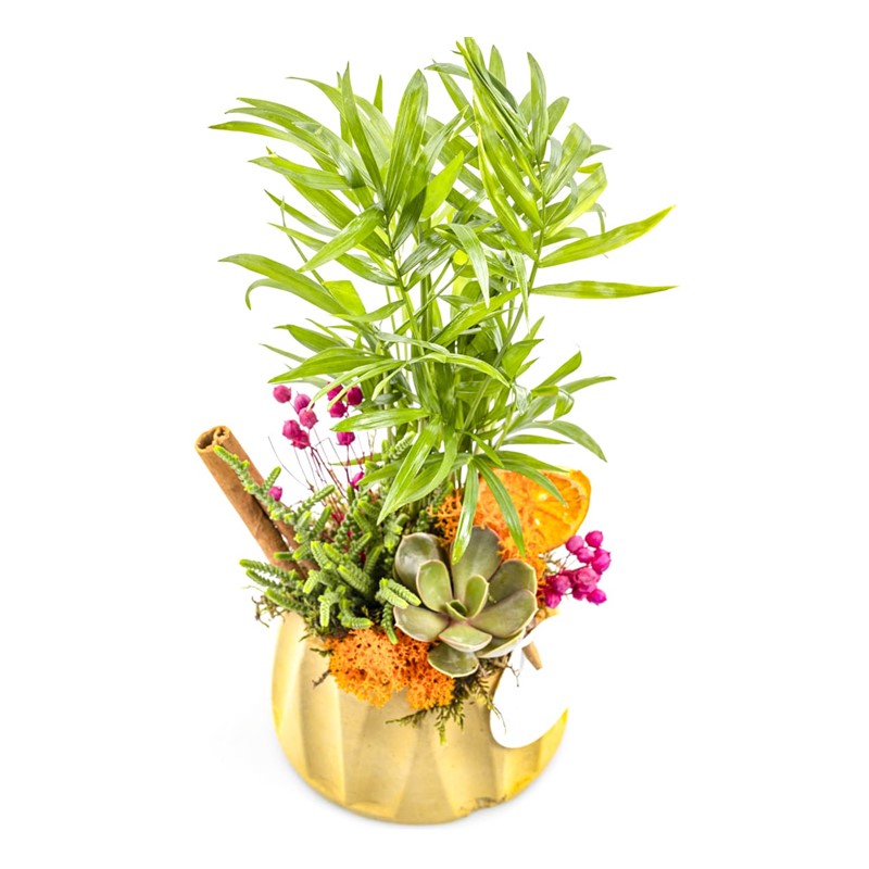 Small Botanical
