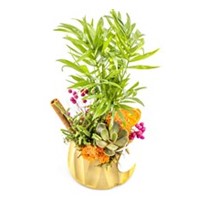 Small Botanical