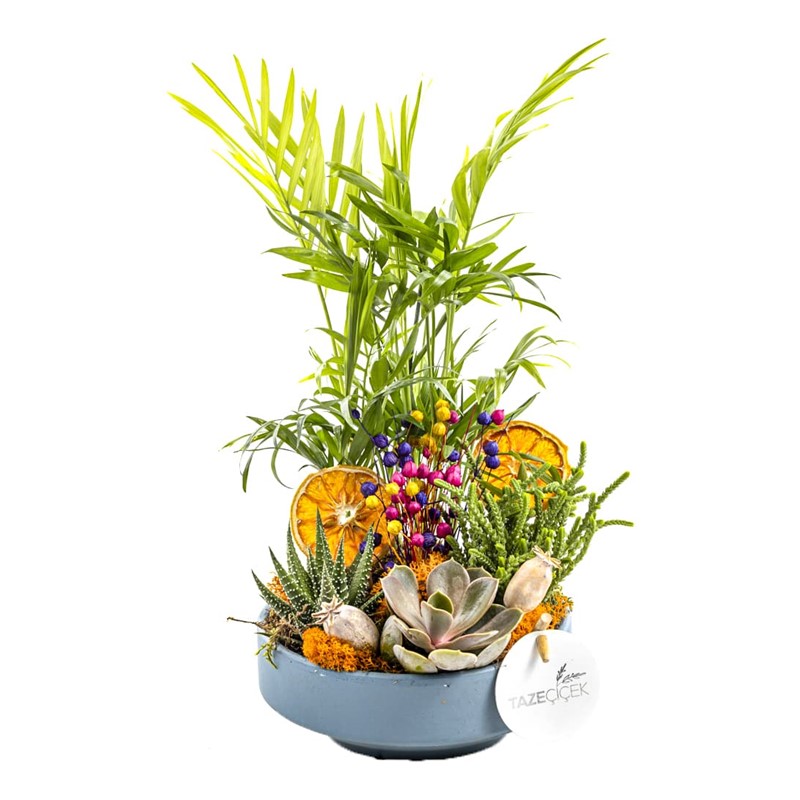 Orange Botanical