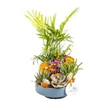Orange Botanical