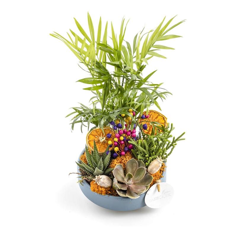 Orange Botanical