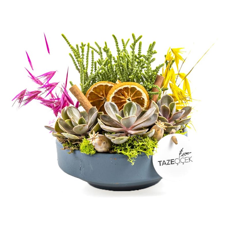 Plant Set