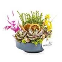 Plant Set