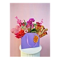 Chocolate Of Orchid