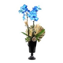 Golden Blue Orchid