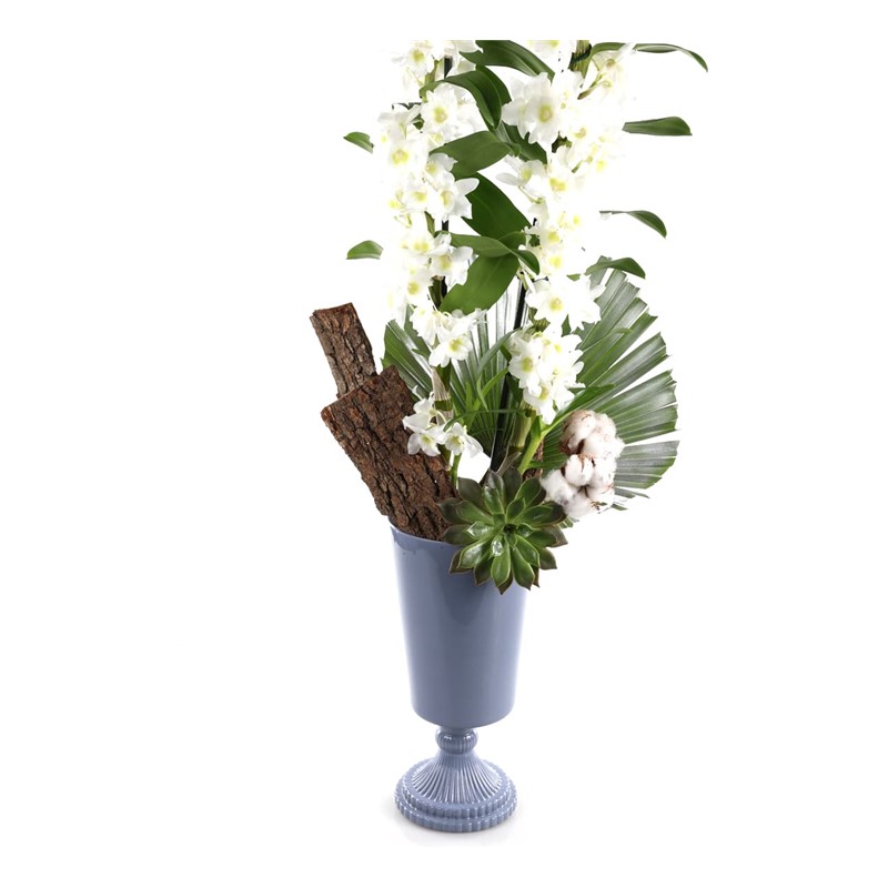 Nature Breeze White Dendrobium
