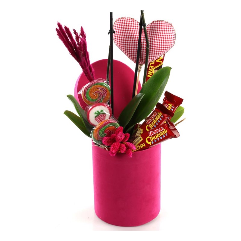 Candy Orchids İn a Pink Box
