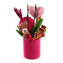 Candy Orchids İn a Pink Box