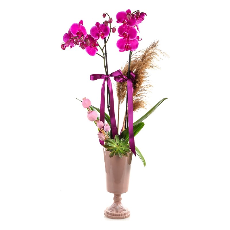 Pink Orchid Inspired By The Pampas