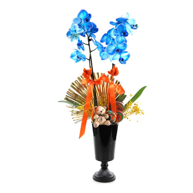 The Blue Orchid In The Candy Orkide