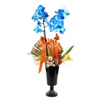 The Blue Orchid In The Candy Orkide