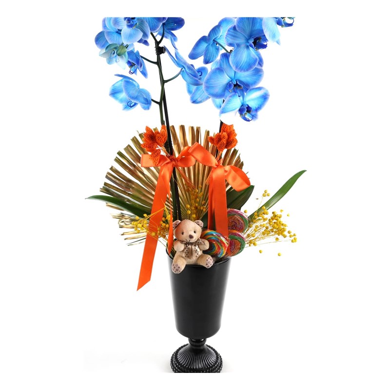 The Blue Orchid In The Candy Orkide