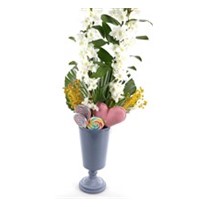 Candy White Dendrobium
