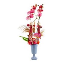 Orchid Like Chocolate
