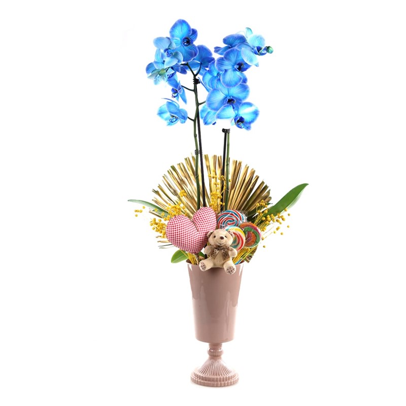 The Sweetest Blue Orkide
