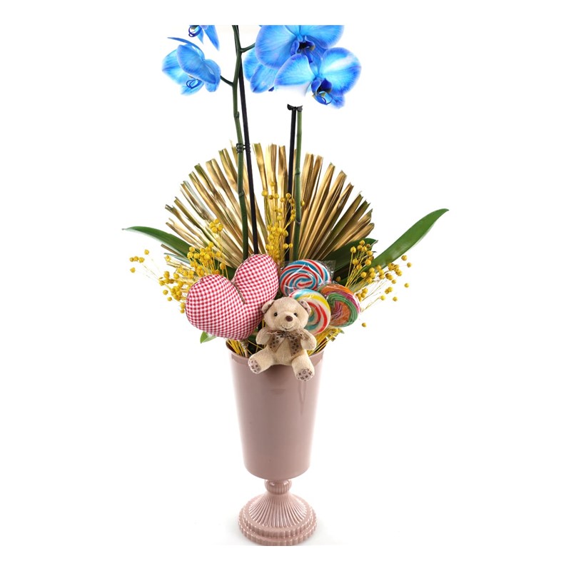 The Sweetest Blue Orkide