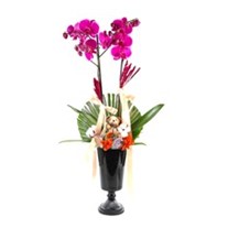 Stylish Black Vase