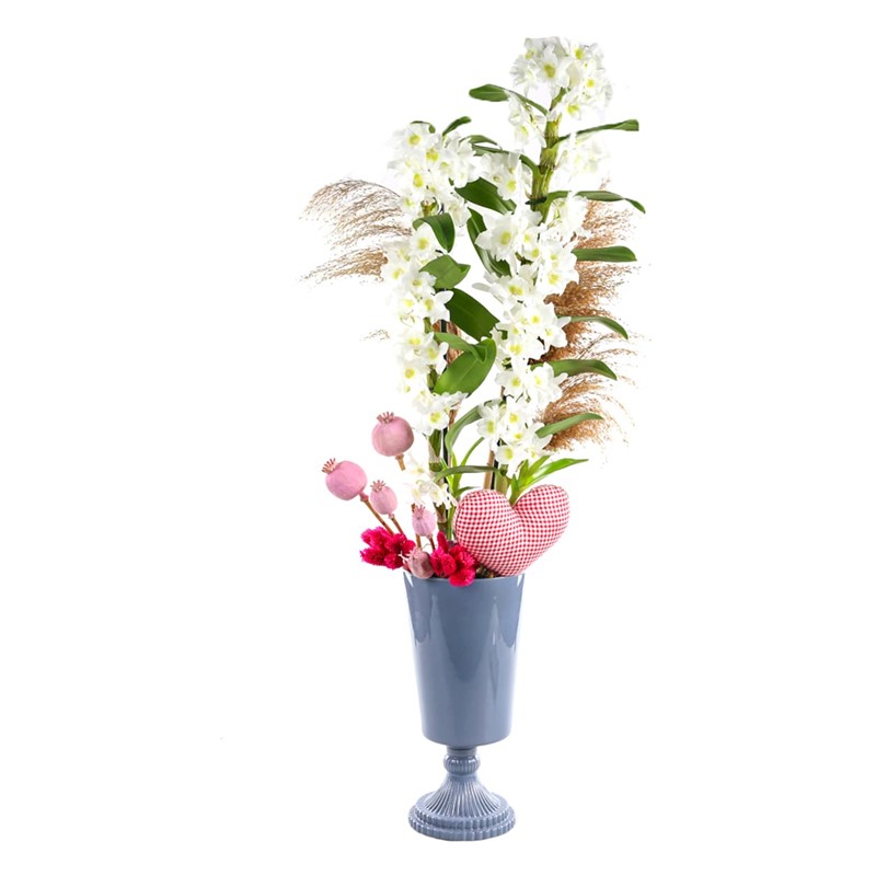 Love Dendrobium